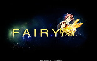 Fairytail illustration, anime, Fairy Tail, Dragneel Natsu HD wallpaper