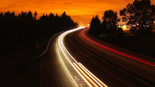 lighted road near trees digital wallpaper
