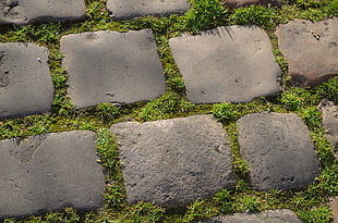 gray stone pathway, green, grass, rock, gray