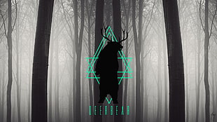 deerbear illustration, bears, deer, forest