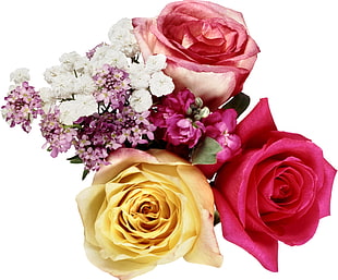 pink, red, and yellow rose flower bouquet