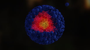 round blue, red, and yellow light