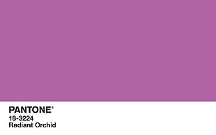 purple background, colorful, color codes, purple, minimalism HD wallpaper