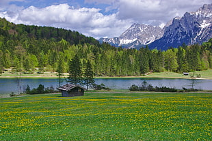 landscape of brown house surrounded by green grass and lake