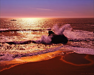 seashore during sun set HD wallpaper