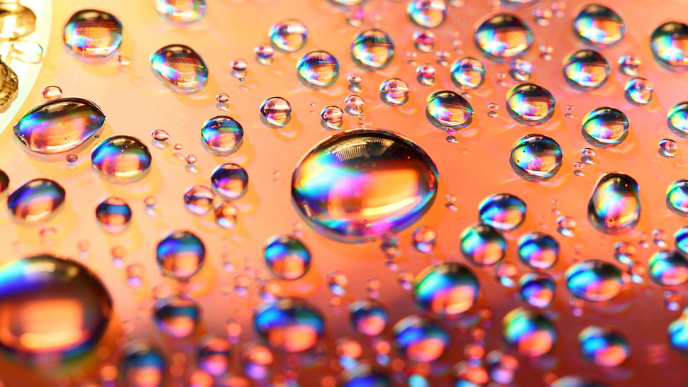 water dews, water, water drops, colorful, glass HD wallpaper
