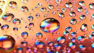 water dews, water, water drops, colorful, glass
