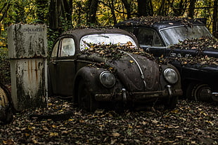 vintage black Volkswagen Beetle near car covered with dried leafs and surrounded by trees photo HD wallpaper