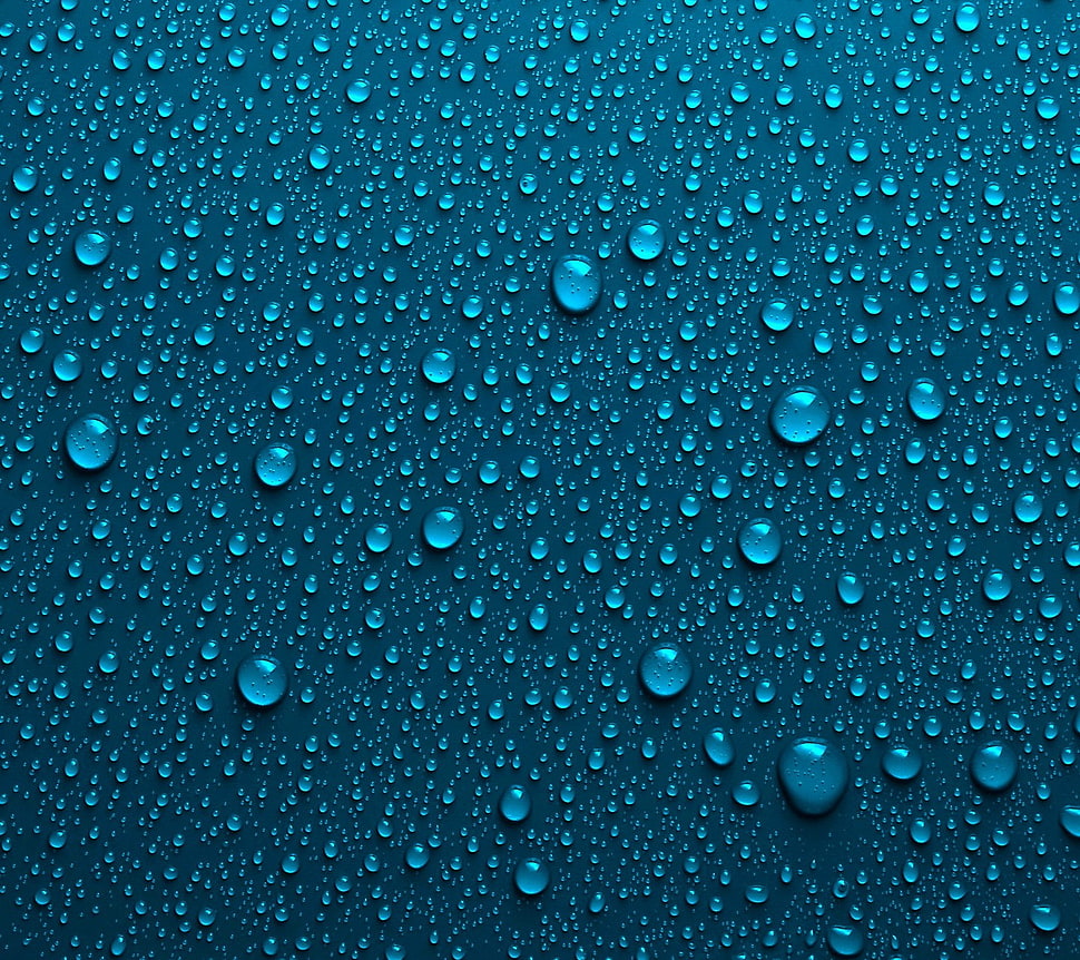water bubbles, nature HD wallpaper