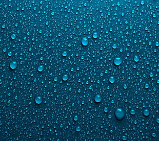 water bubbles, nature HD wallpaper