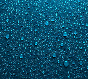 water bubbles, nature