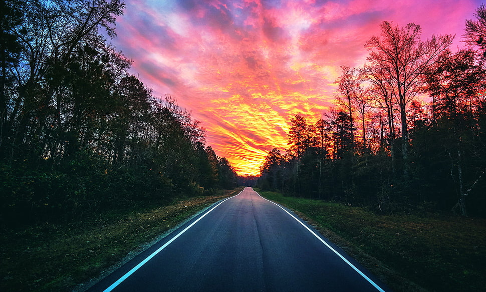 gray concrete road, sky, landscape, road, sunset HD wallpaper