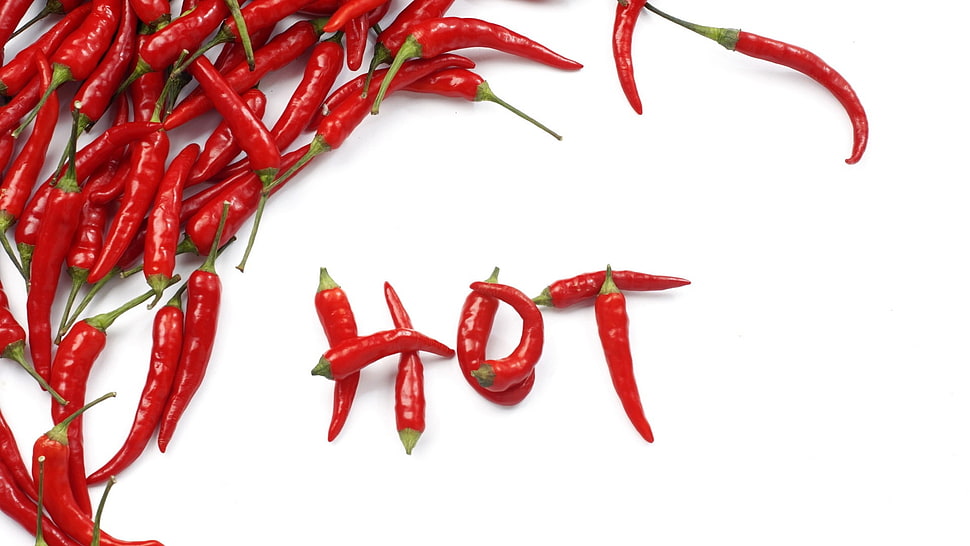 red chili HD wallpaper