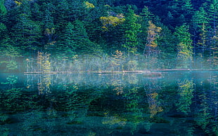 nature, landscape, lake, reflection HD wallpaper