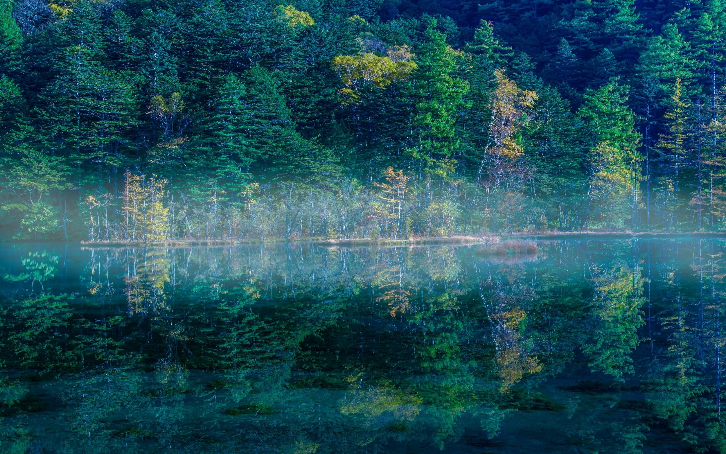 nature, landscape, lake, reflection