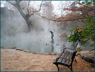 photo of empty brown bench near pond with ducks and tree during day time