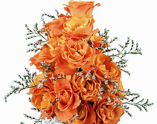 bouquet of orange Roses HD wallpaper