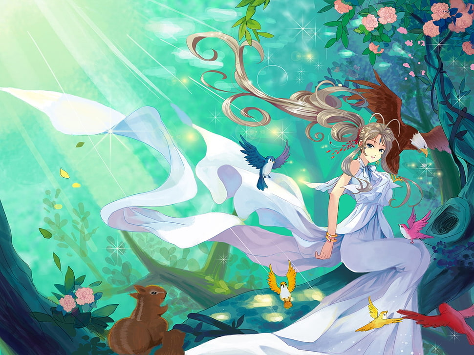 fairy anime wearing white dress HD wallpaper