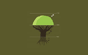 photo of green tree illustration