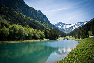 green forest beside water and mountain, liechtenstein HD wallpaper