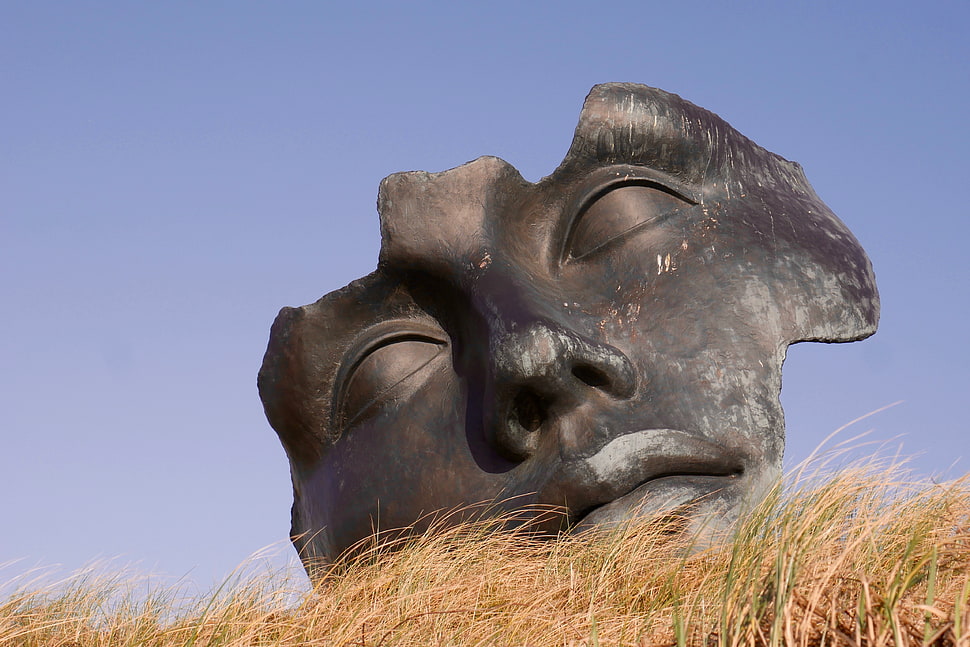 face, image, sculpture, head HD wallpaper