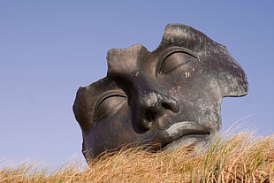 face, image, sculpture, head