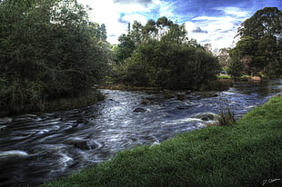 time lapse photography of flowing river surrounded by trees HD wallpaper