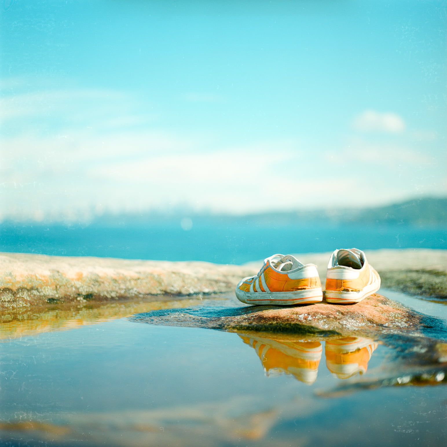 orange-and-white Adidas low-top sneakers on the rock