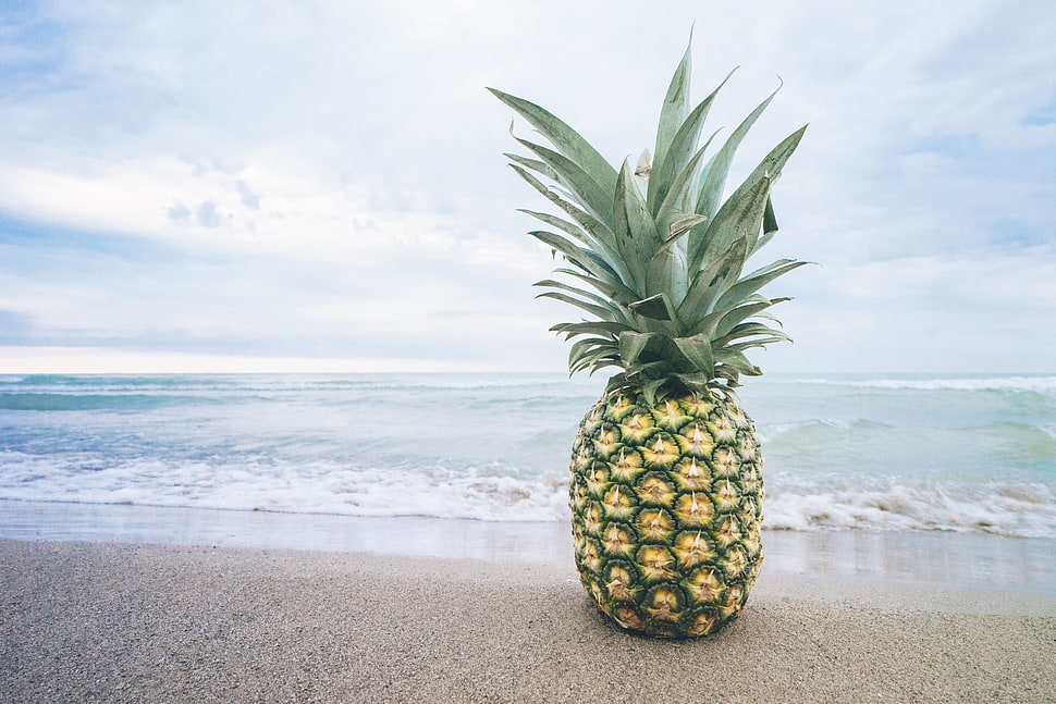 pineapple on seashore HD wallpaper