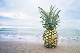 pineapple on seashore HD wallpaper