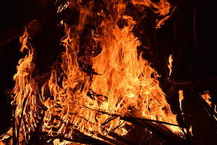 fire, Bonfire, Fire, Flame HD wallpaper