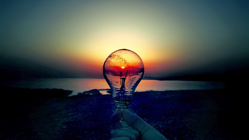 person holding light bulb near seashore HD wallpaper