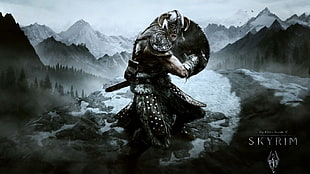 Skyrim game poster, The Elder Scrolls V: Skyrim, video games, dragon, fantasy art