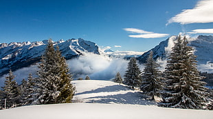 photo of pine trees covered in snow near mountain during daytime, la clusaz