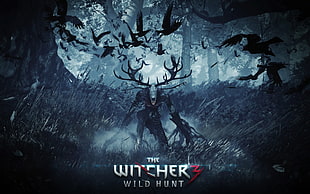 the Witcher 3 wild hunt game wallpaper