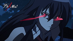 black-haired female character, Akame ga Kill!, Akame HD wallpaper