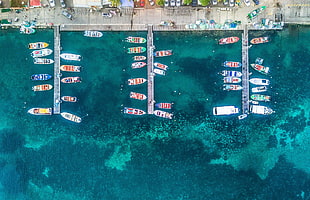 aerial photography of assorted boat on body of water beside concrete pavement at daytime, Guadeloupe Island, aerial view, boat HD wallpaper