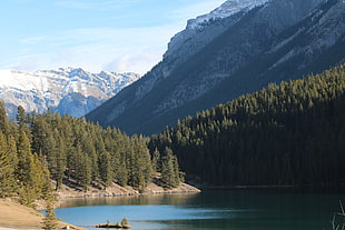 body of water between of trees during daytime, banff HD wallpaper