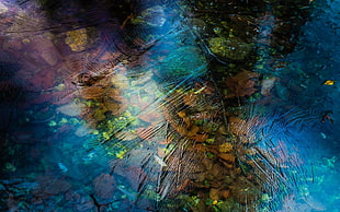 body of water, water, ice HD wallpaper