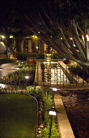 green floral garden near walkway & green trees during night time