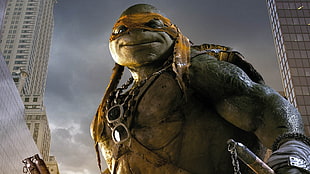 TMNT Michelangelo, Teenage Mutant Ninja Turtles HD wallpaper