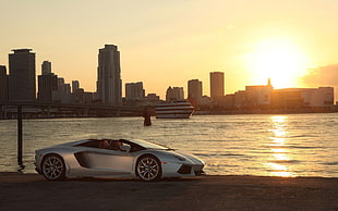 silver sports car, Lamborghini, Lamborghini Aventador LP700-4 Roadster, Lamborghini Aventador, Miami