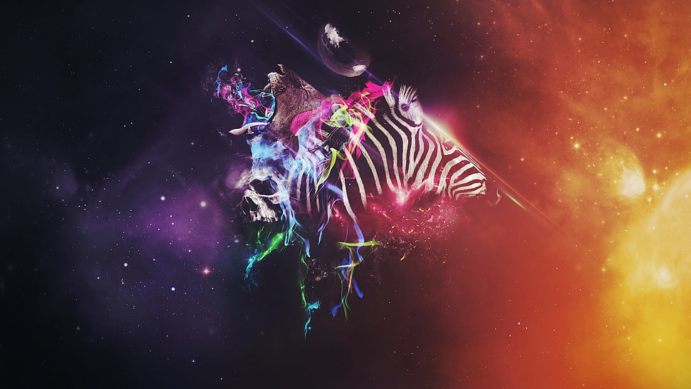 zebra digital art, Photoshop, animals, colorful, zebras HD wallpaper