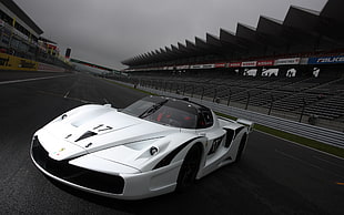 white and black super car, car, Ferrari, race tracks, Ferrari FXX