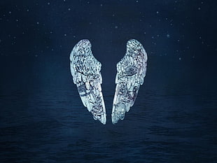 white and gray wings illustration, Coldplay Ghost Stories