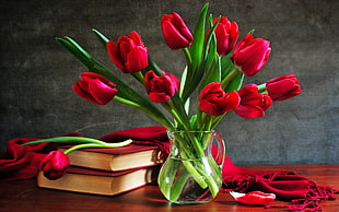 cluster of red tulips in clear glass pitcher vase near books