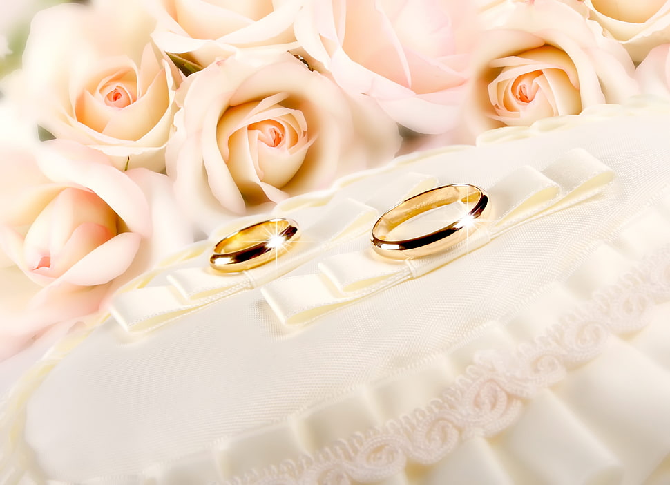 two gold wedding bands on top of white textile near pink Rose flowers HD wallpaper