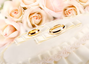 two gold wedding bands on top of white textile near pink Rose flowers