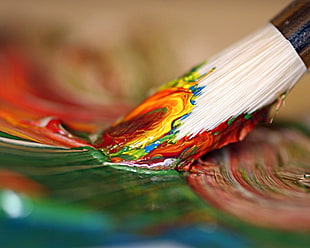 close up photography of paintbrush dipped on multicolored paint HD wallpaper