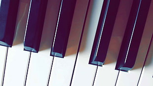 white and black piano keys HD wallpaper